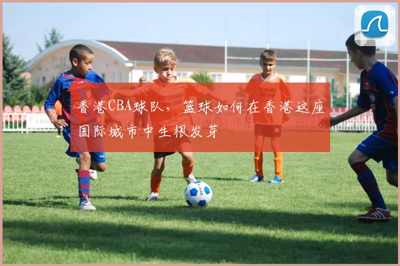 香港CBA球队，篮球如何在香港这座国际城市中生根发芽